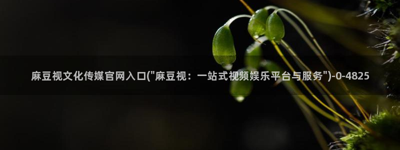 麻豆传媒aqq官网：麻豆视文化传媒官网入口(\