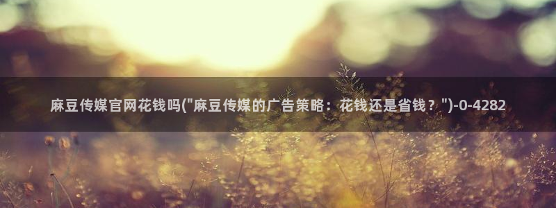 麻豆映像传媒官网：麻豆传媒官网花钱吗(\