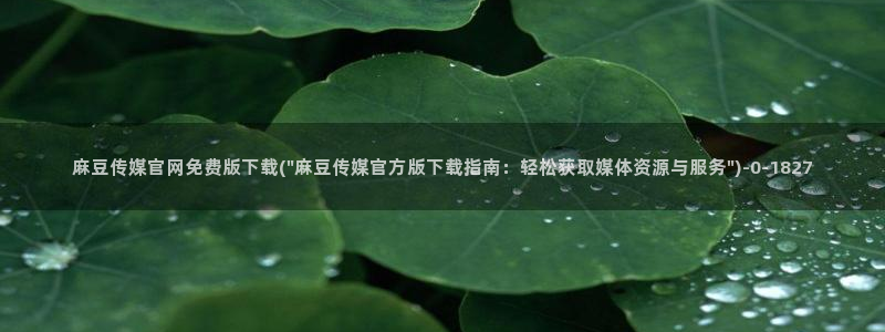 麻豆剪映传媒官网：麻豆传媒官网免费版下载(\