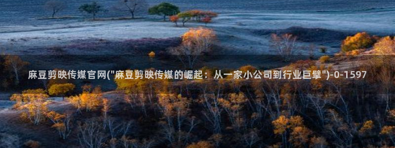 麻豆传媒官网怎么找到：麻豆剪映传媒官网(\