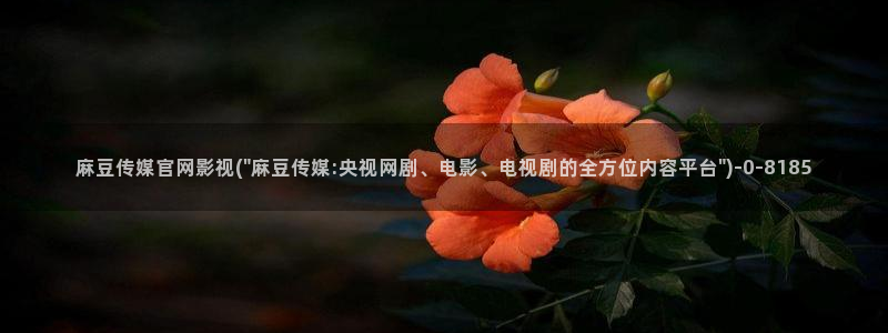 麻豆传媒直播官网三三：麻豆传媒官网影视(\