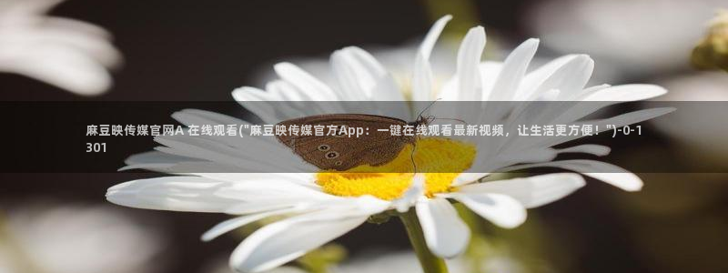 麻豆传媒官网油管：麻豆映传媒官网A 在线观看(\