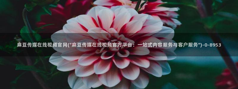 麻豆精品传媒官网入口：麻豆传媒在线视频官网(\