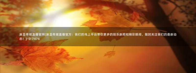 麻豆传媒官网梦梦