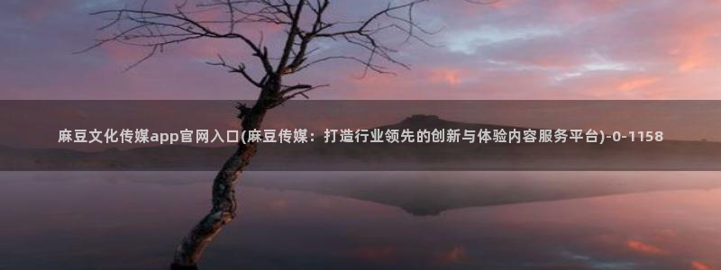 麻豆传媒官网豆奶：麻豆文化传媒app官网入口(麻豆传媒：打造行业领先的创新与体验内容服务平台)