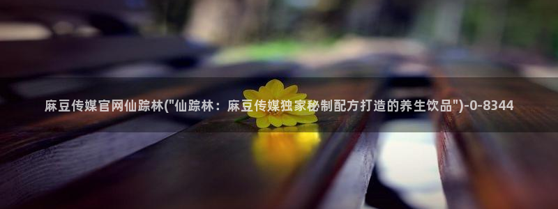 麻豆村传媒官网：麻豆传媒官网仙踪林(\