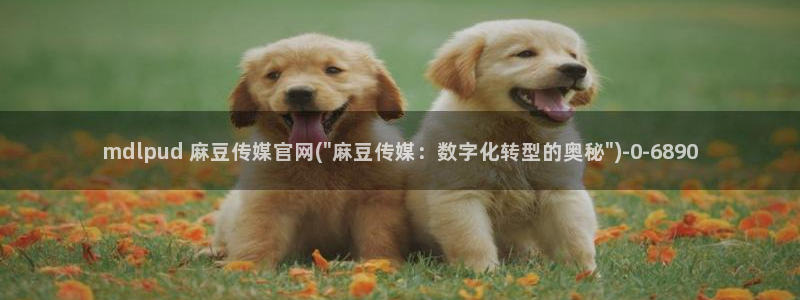 91麻豆传媒app官网：mdlpud 麻豆传媒官网(\