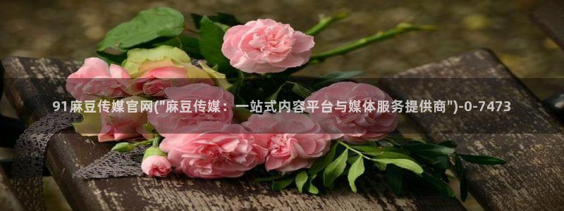 麻豆印映传媒官网：91麻豆传媒官网(\