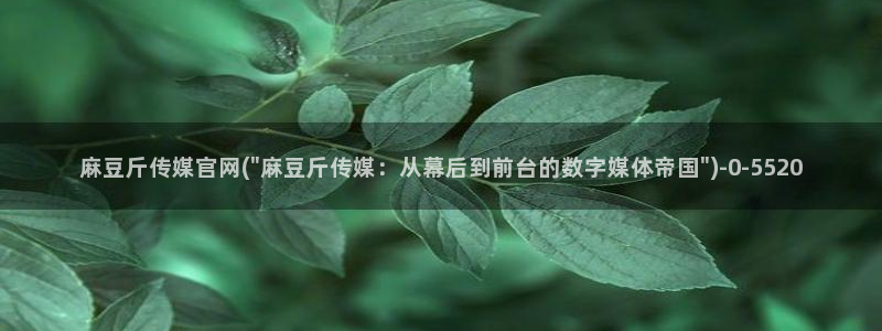 9 1麻豆传媒官网