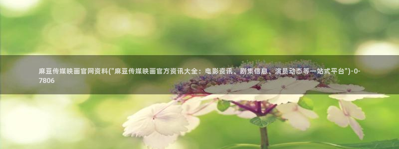 麻豆av传媒官网进入