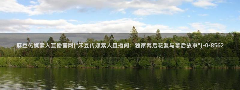麻豆眏画传媒官网