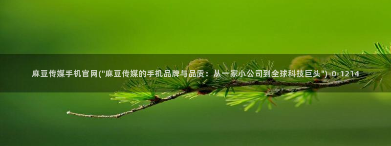麻豆传媒媒体官网