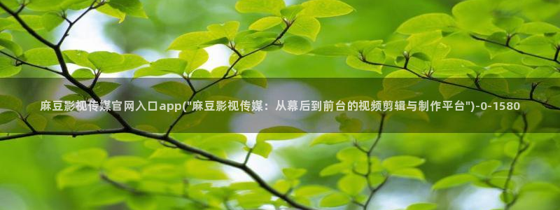 麻豆传媒官网首页入
