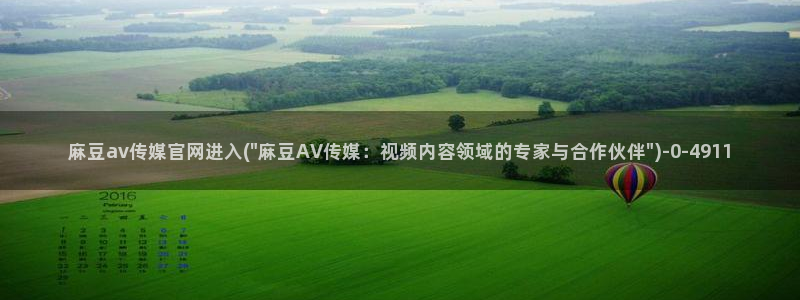 91麻豆传媒官网地址