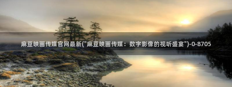 麻豆AV传媒在线官网