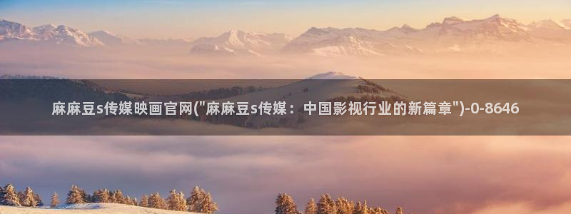 麻豆视传媒 官网入口