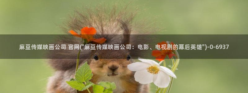 麻豆传媒官网合作app：麻豆传媒映画公司 官网(\