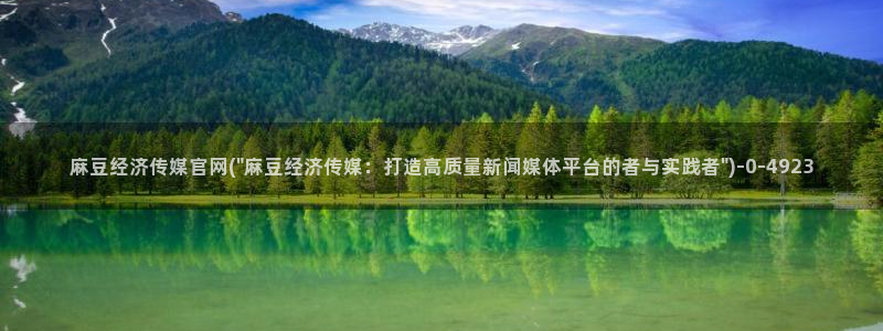 麻豆视传媒短网站官网