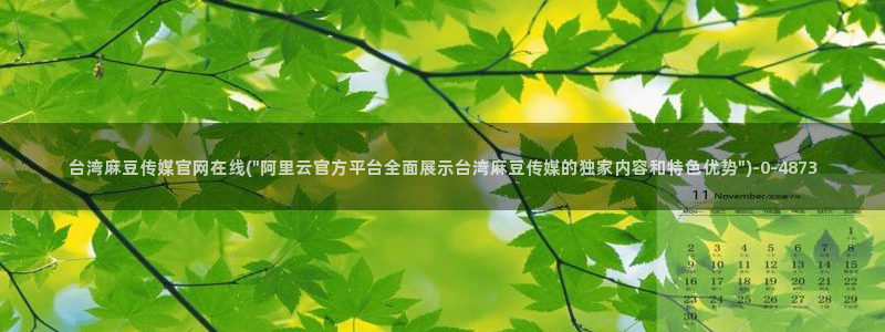 麻豆传媒直播官网01