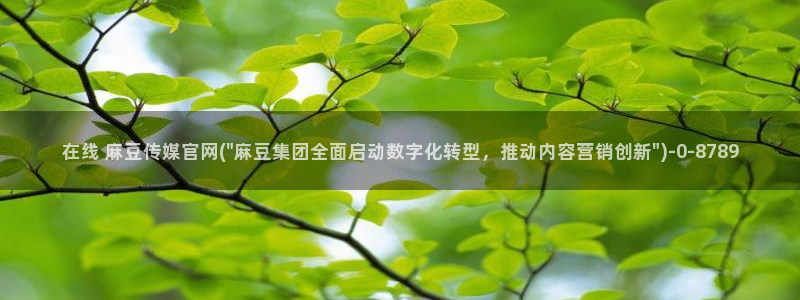 麻豆床传媒官网首页入口